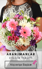 aranjmanlar